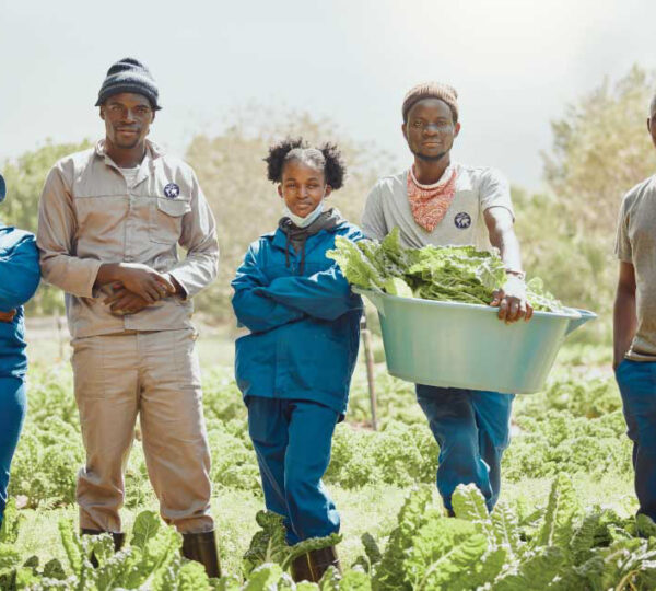 Seeds and farming equipment